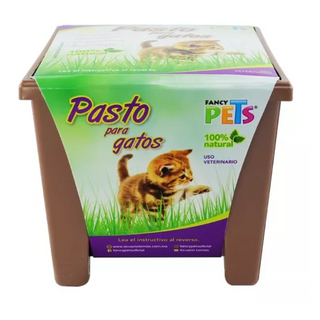 Pasto Para Gatos Natural