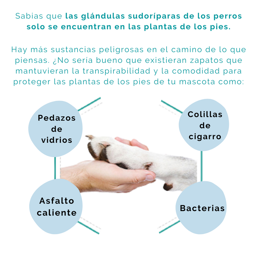 Zapatos para perros desechables