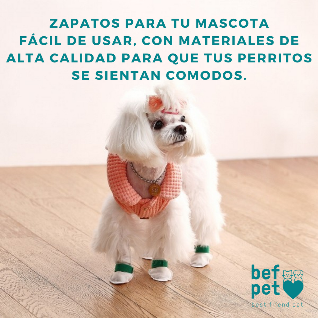 Zapatos para perros desechables