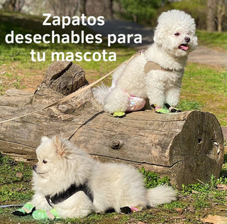 Zapatos para perros desechables